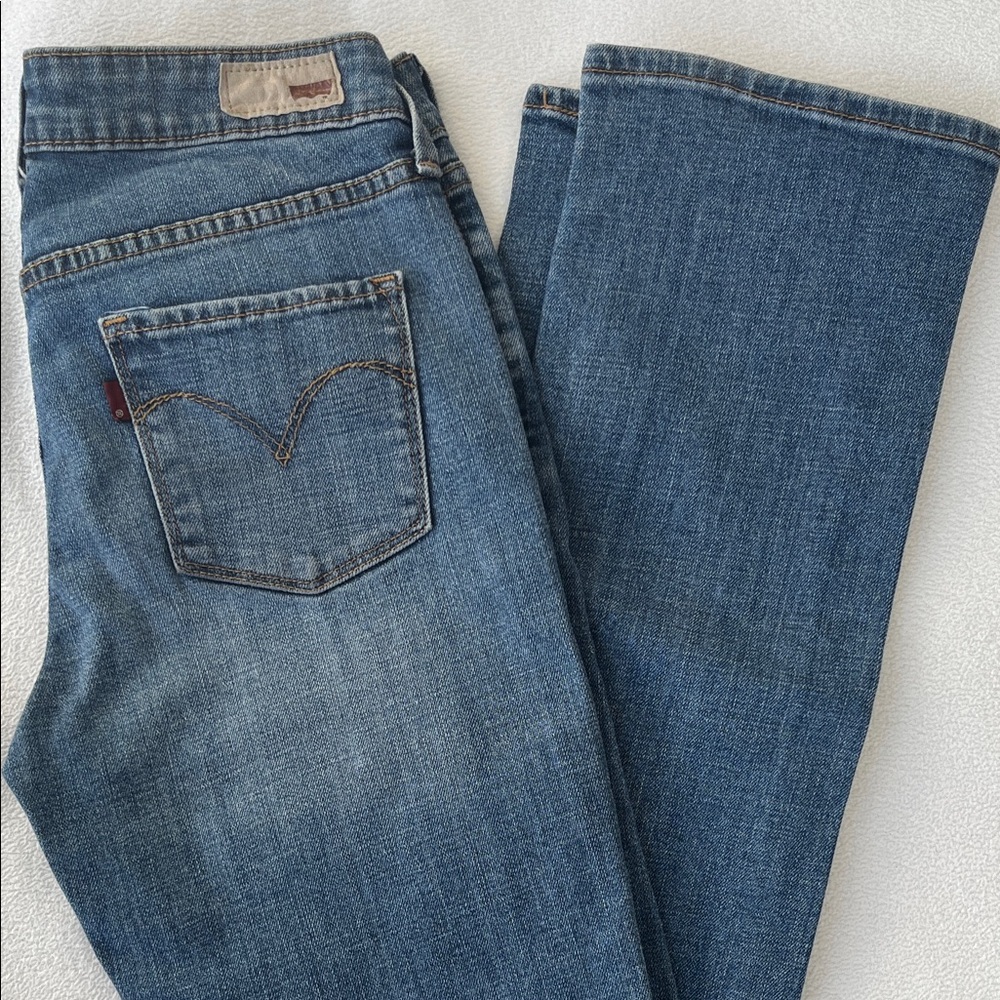 Levi’s Slight Curve Classic Rise Straight Size 4/27 Inseam 30.5
